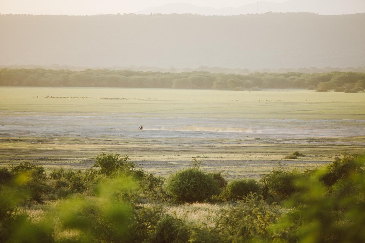 Manyara Wildlife Safari Camp Villa Zanzibar Dış mekan fotoğraf
