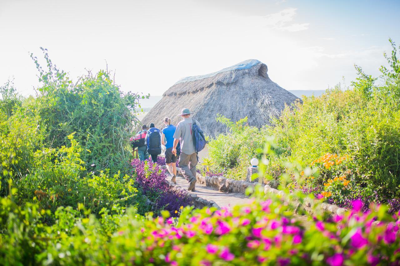 Manyara Wildlife Safari Camp Villa Zanzibar Dış mekan fotoğraf