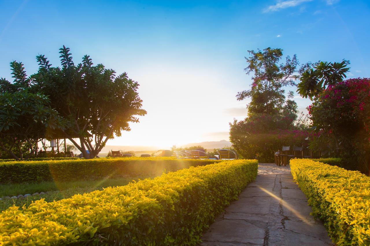 Manyara Wildlife Safari Camp Villa Zanzibar Dış mekan fotoğraf